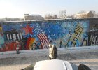 149 Berlino 25 gennaio 2014